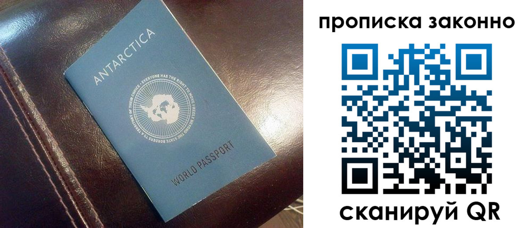 временная регистрация в Камышлове